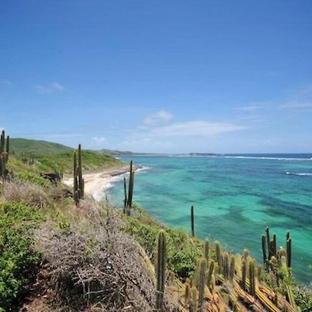 Hamo Tropical Piscine Proche Plage Apartamento Sainte-Anne Exterior foto