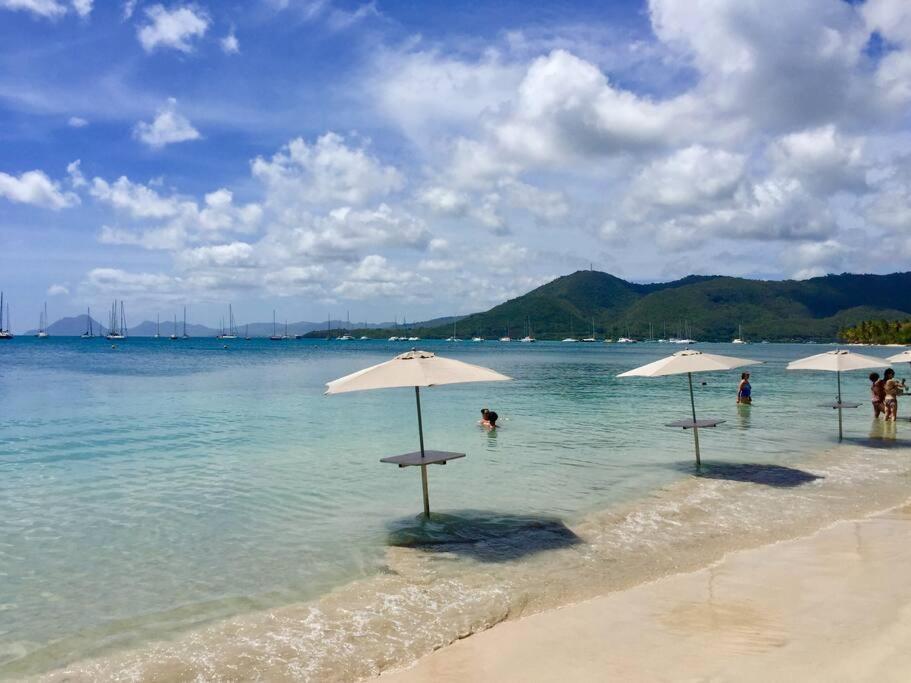 Hamo Tropical Piscine Proche Plage Apartamento Sainte-Anne Exterior foto