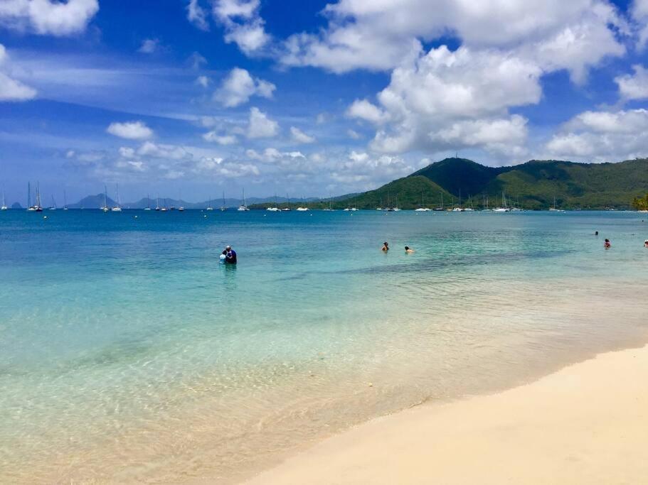 Hamo Tropical Piscine Proche Plage Apartamento Sainte-Anne Exterior foto