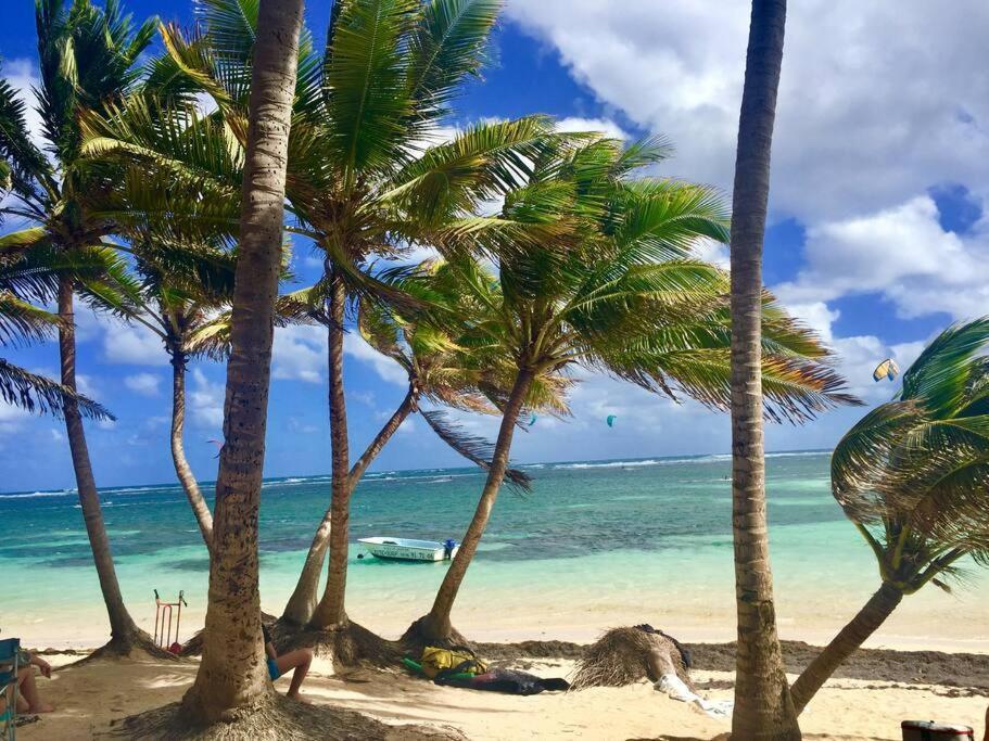 Hamo Tropical Piscine Proche Plage Apartamento Sainte-Anne Exterior foto