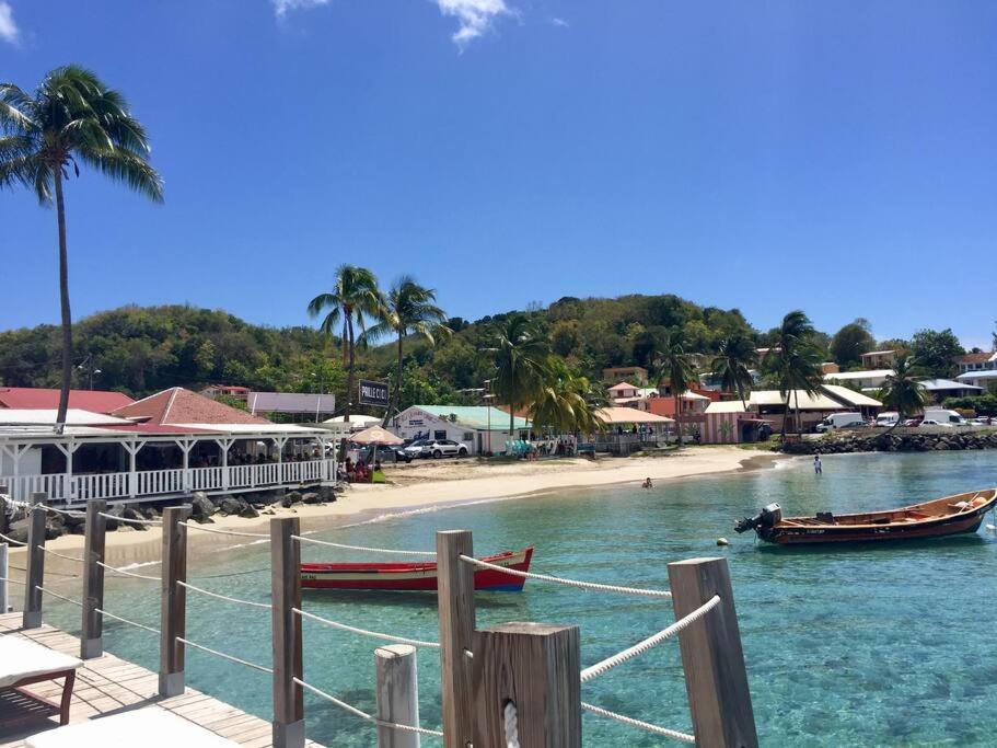 Hamo Tropical Piscine Proche Plage Apartamento Sainte-Anne Exterior foto