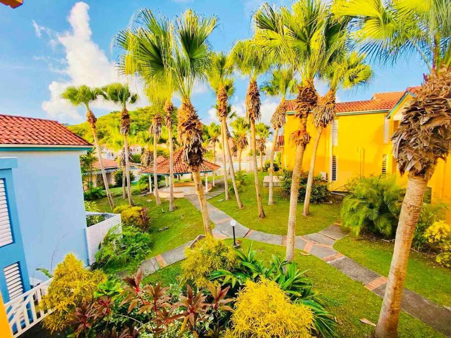 Hamo Tropical Piscine Proche Plage Apartamento Sainte-Anne Exterior foto