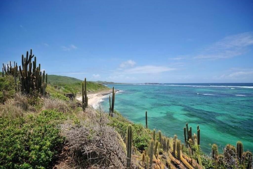 Hamo Tropical Piscine Proche Plage Apartamento Sainte-Anne Exterior foto