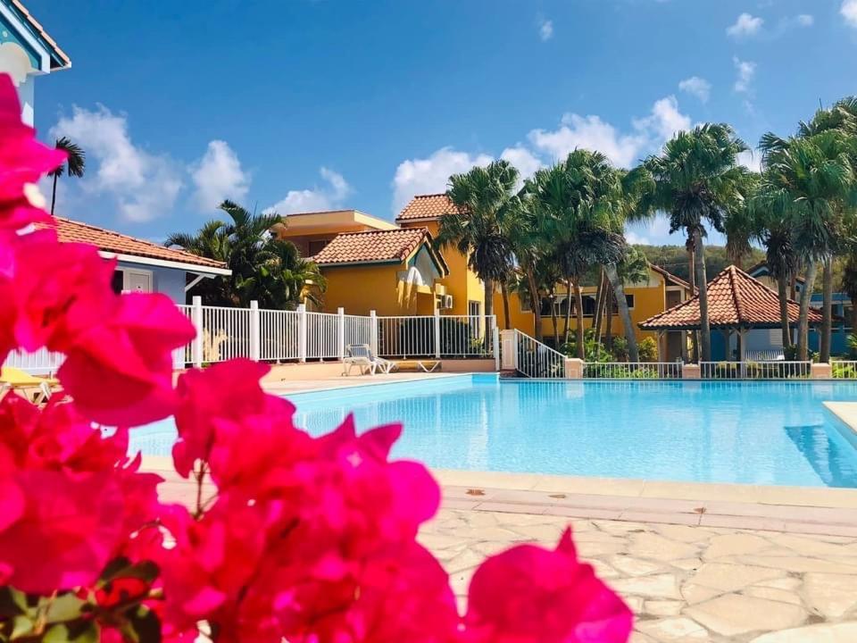 Hamo Tropical Piscine Proche Plage Apartamento Sainte-Anne Exterior foto